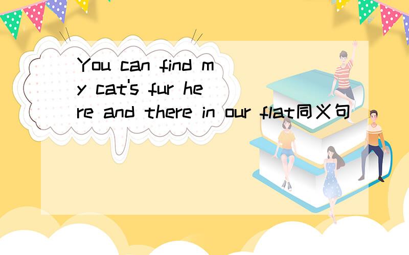 You can find my cat's fur here and there in our flat同义句