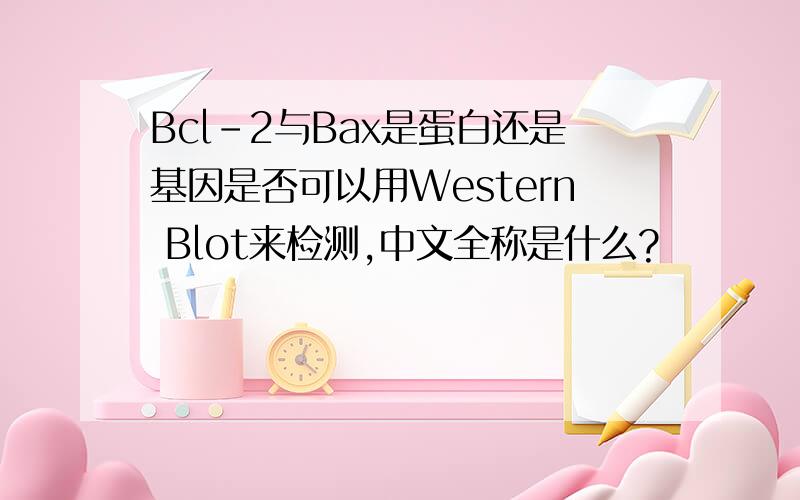Bcl-2与Bax是蛋白还是基因是否可以用Western Blot来检测,中文全称是什么?