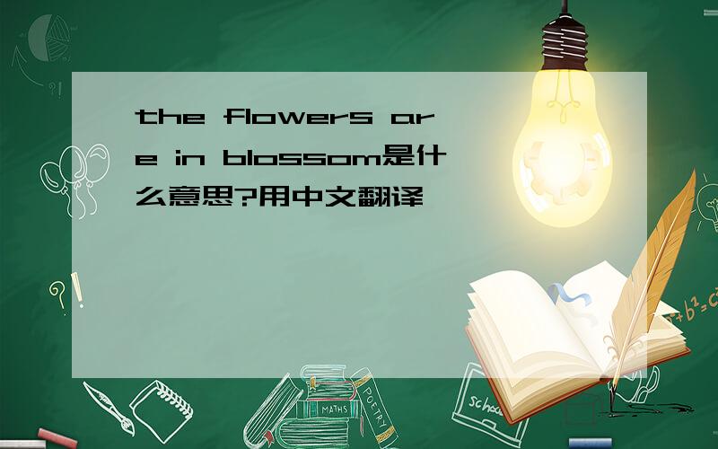 the flowers are in blossom是什么意思?用中文翻译