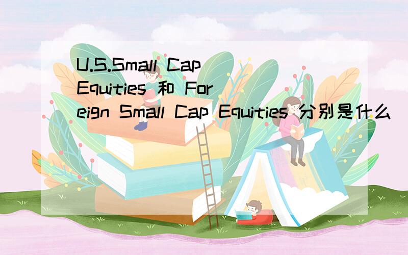 U.S.Small Cap Equities 和 Foreign Small Cap Equities 分别是什么