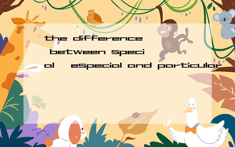 the difference between special ,especial and particular