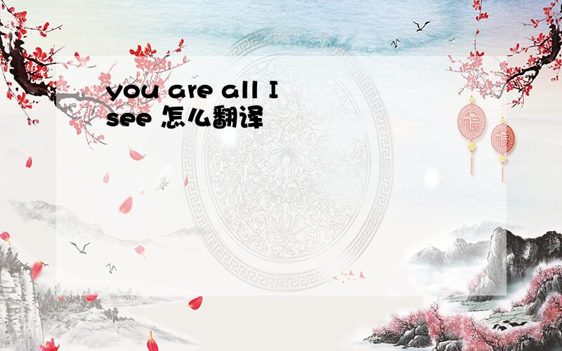 you are all I see 怎么翻译