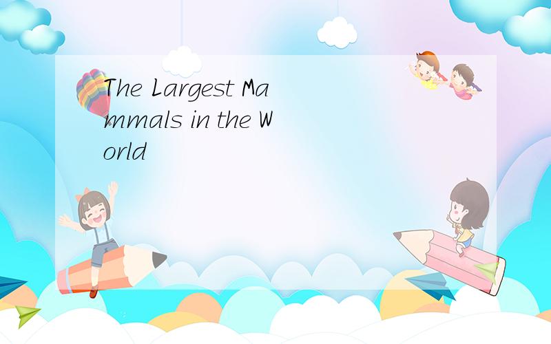 The Largest Mammals in the World