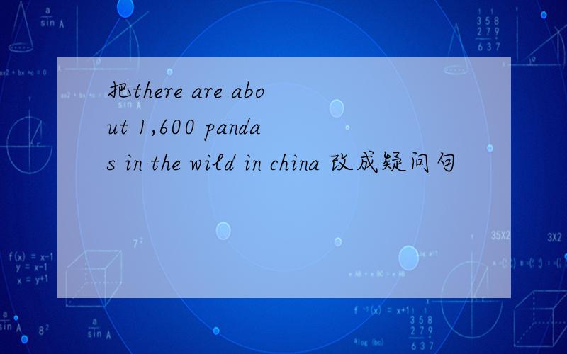 把there are about 1,600 pandas in the wild in china 改成疑问句
