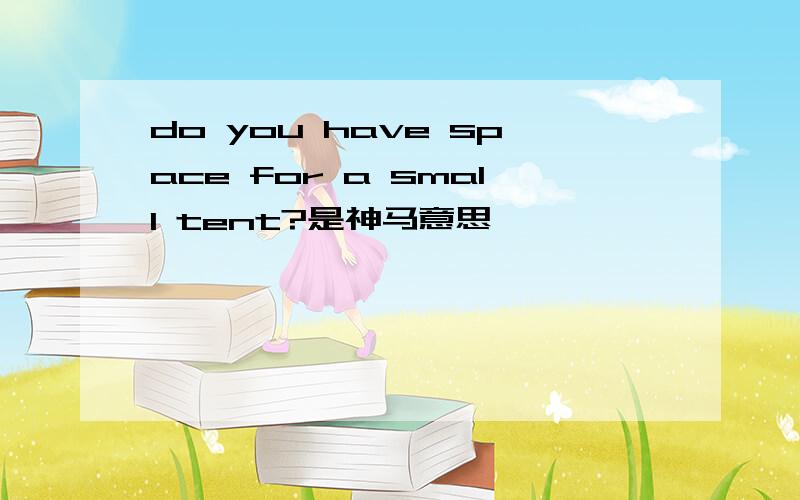 do you have space for a small tent?是神马意思