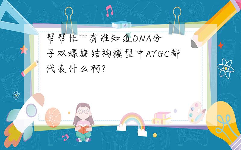 帮帮忙```有谁知道DNA分子双螺旋结构模型中ATGC都代表什么啊?
